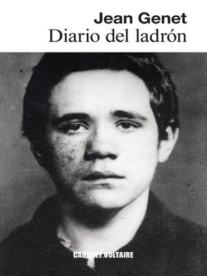 cover image of Diario del ladrón